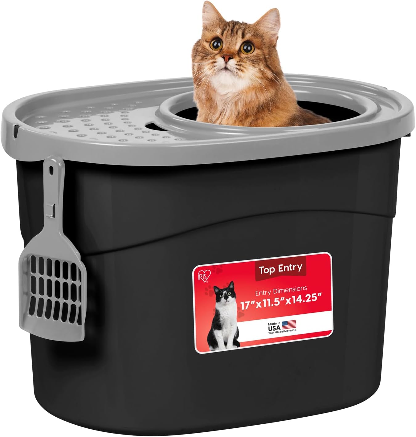 IRIS USA Large Top Entry Cat Litter Box, Hooded Privacy, Black\/Gray | Multi-Cat Households, Protected Interior, Enclosed Top Access, Dog Proof Pan, Reduced Tracking, Odor Trapping